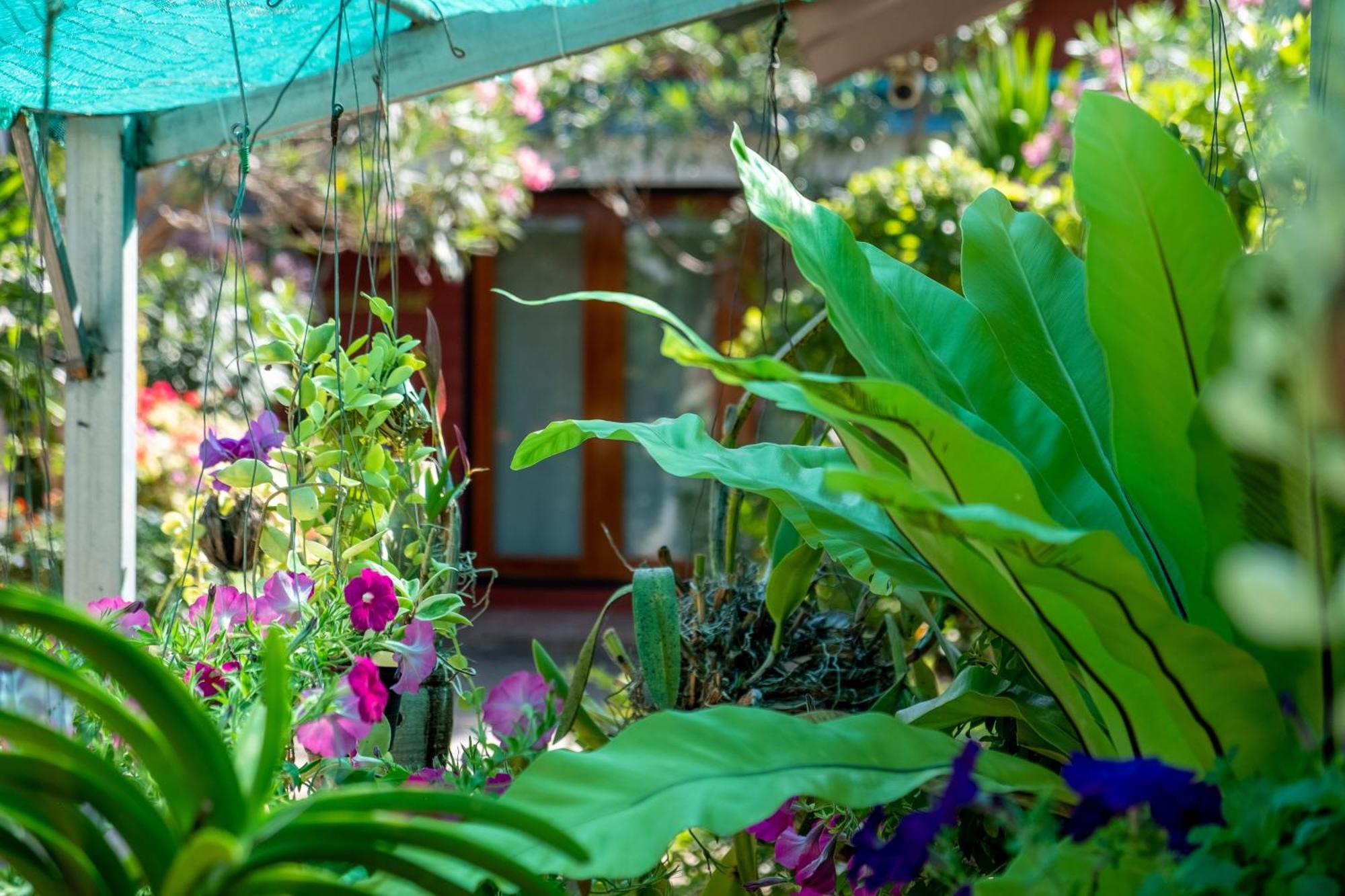 Thai Smile Bungalows 란타섬 외부 사진